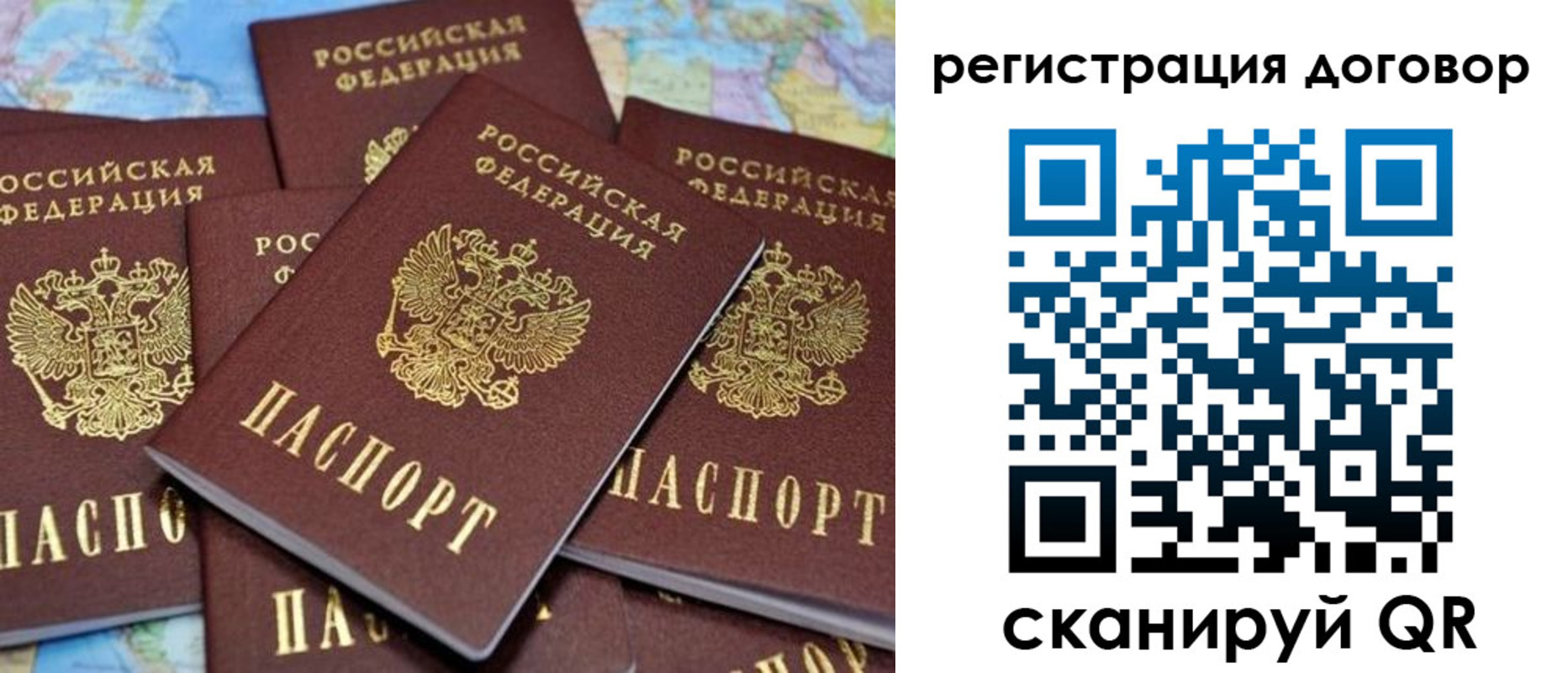 прописка гарантия в Дятьково